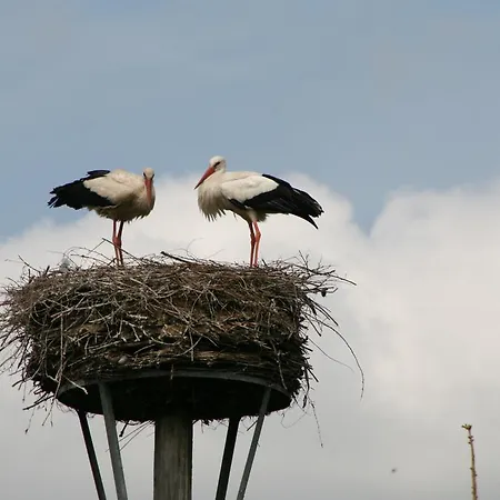 בית הארחה Romantik & Klaps Liebling לובן