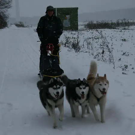 בית הארחה Romantik & Klaps Liebling לובן