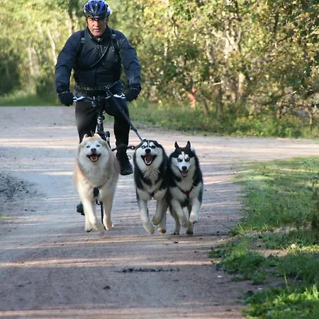 בית הארחה Romantik & Klaps Liebling לובן