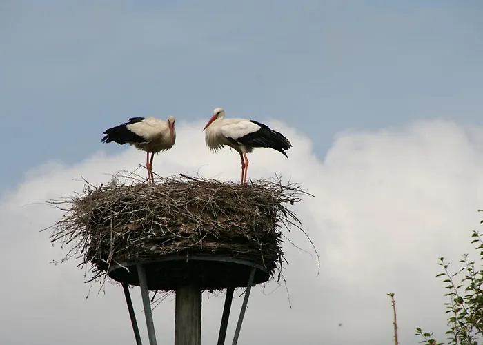 Konukevi Romantik & Klaps Liebling Lübben