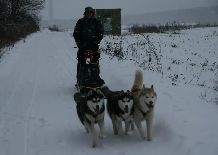 Konukevi Romantik & Klaps Liebling Lübben