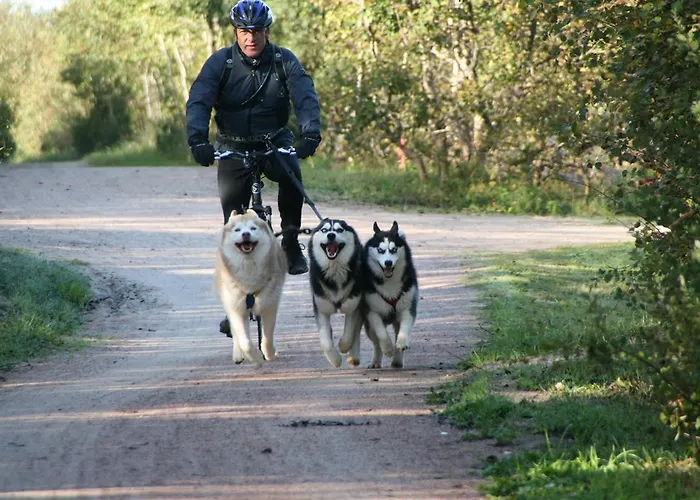 招待所 Romantik & Klaps Liebling 吕本